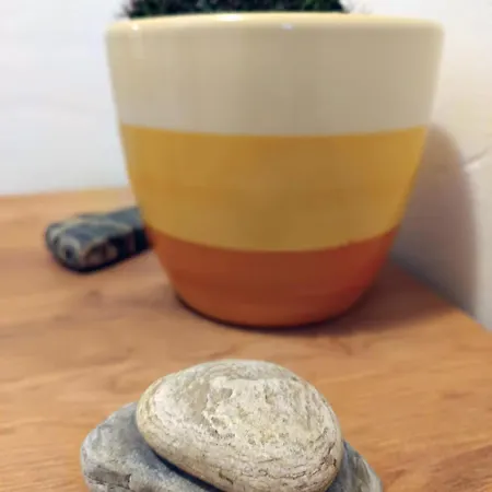 Apartma Vodrice Daire *