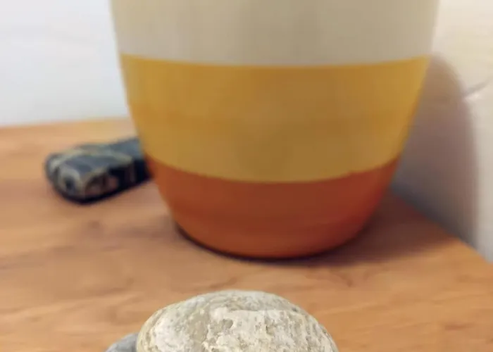 Apartma Vodrice شقة *